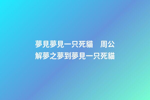 夢見夢見一只死貓　周公解夢之夢到夢見一只死貓